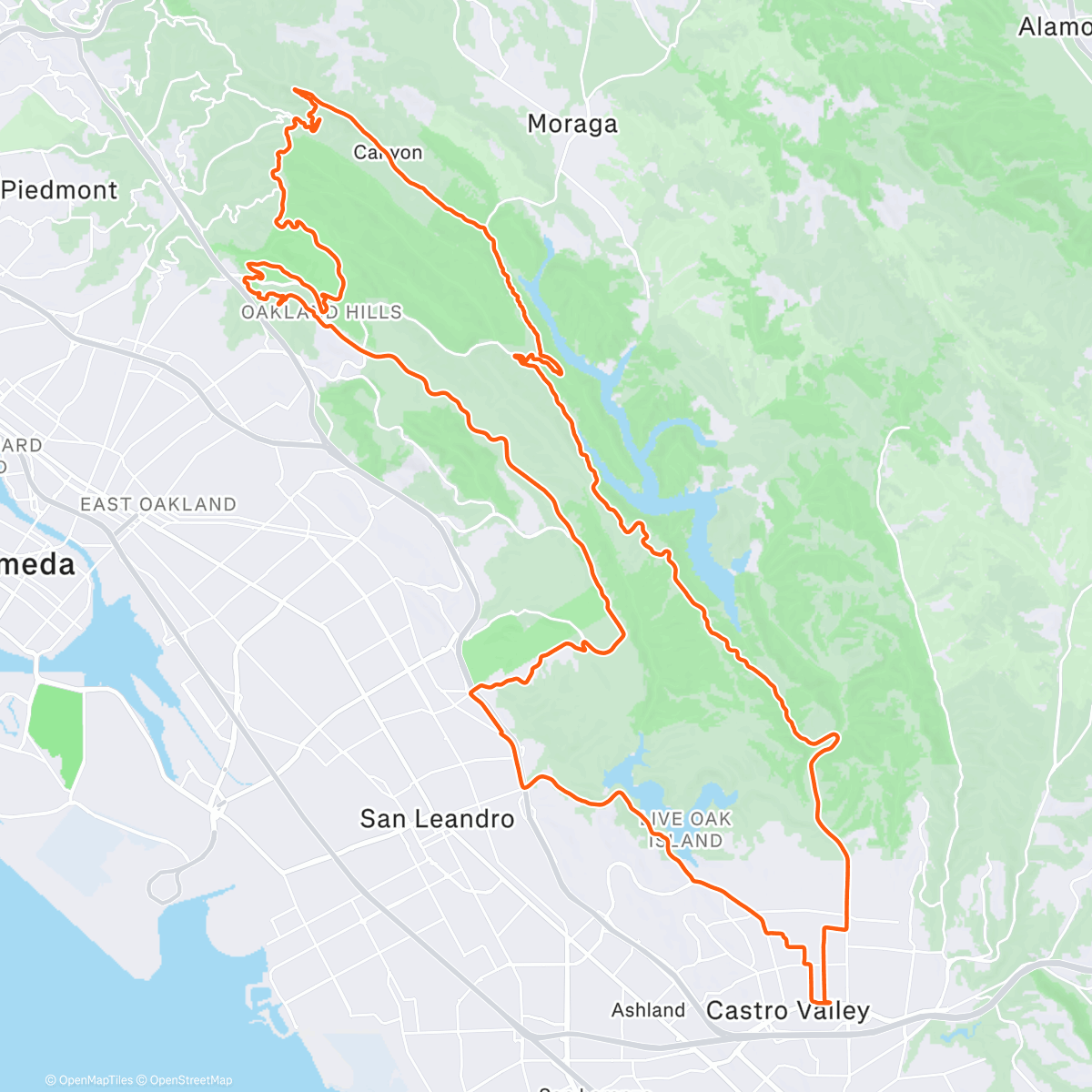 Map of the activity, Buttery Red Hurst Quasi Zoo Loop