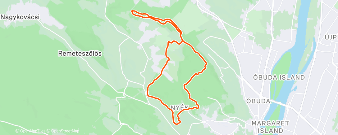 Карта физической активности (Morning Run)