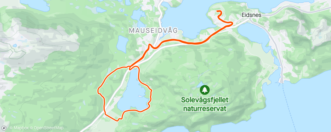 Map of the activity, Night Run - 40/2024. Mausavatnet.