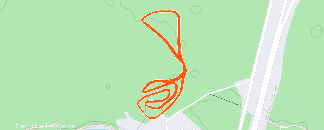 Карта физической активности (Северный лыжный заезд (утро))