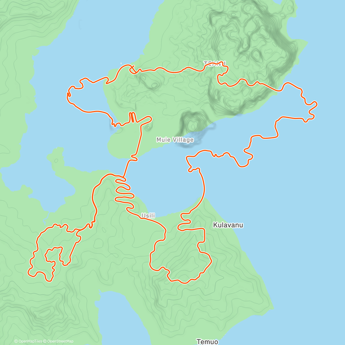 Map of the activity, Zwift - Group Ride: T-VGN Smoothie (D) on Bigger Loop in Watopia [Lead]