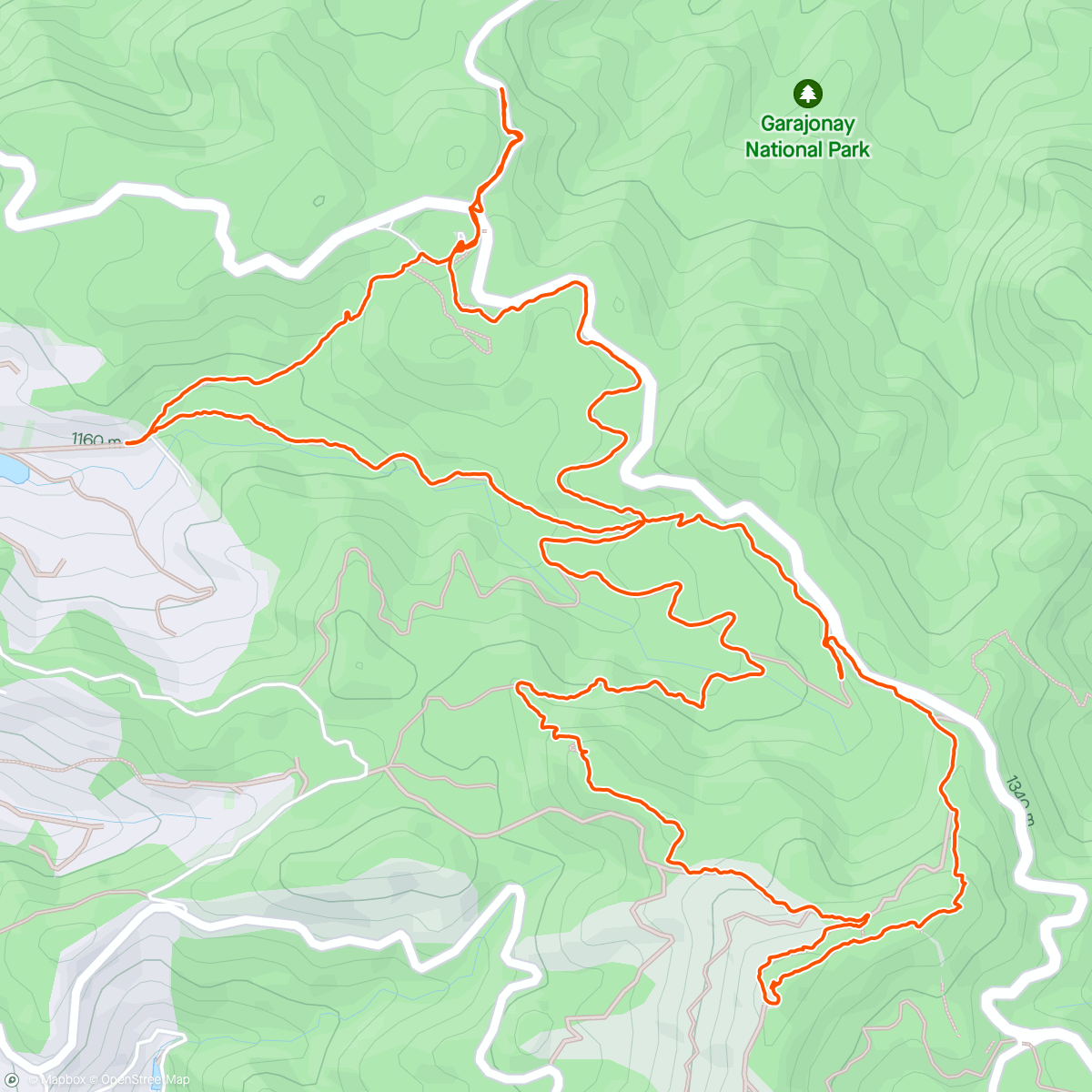 Map of the activity, Ruta 14: Laguna Grande - Alto de Garajonay