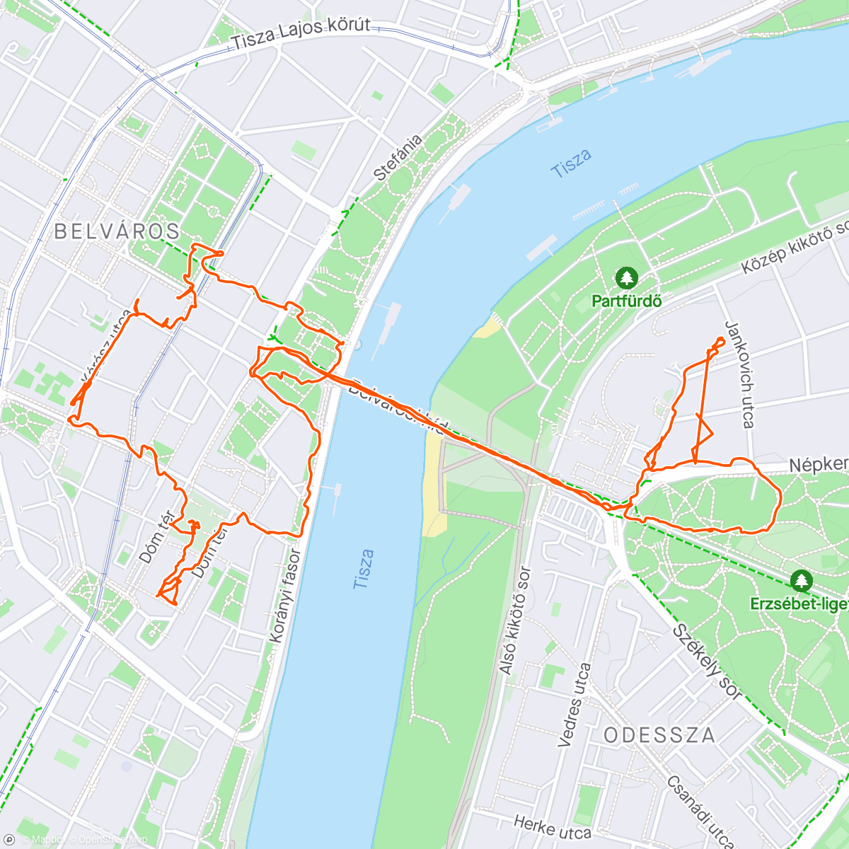 Kaart van de activiteit “Szeged”