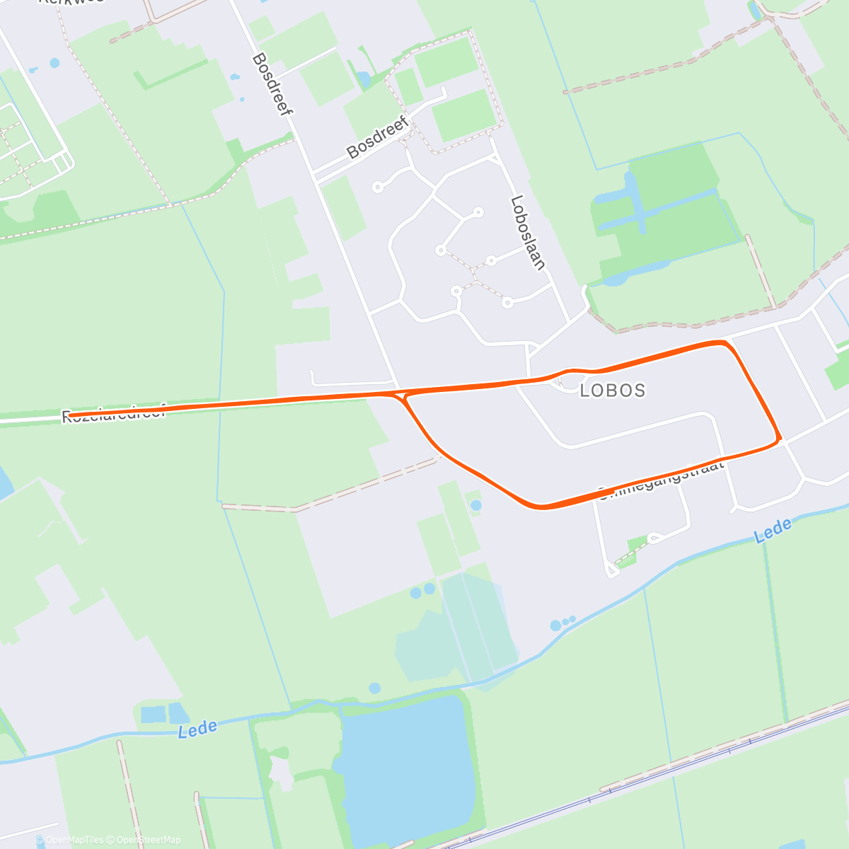 Карта физической активности (Re-start to run!)