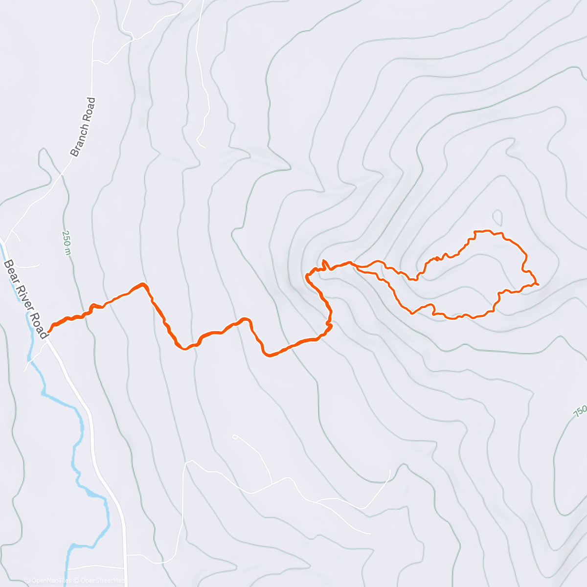 アクティビティ「Puzzle Mountain」の地図