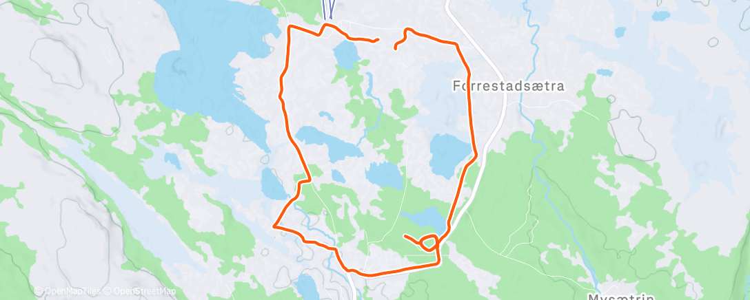 Карта физической активности (Family ski)