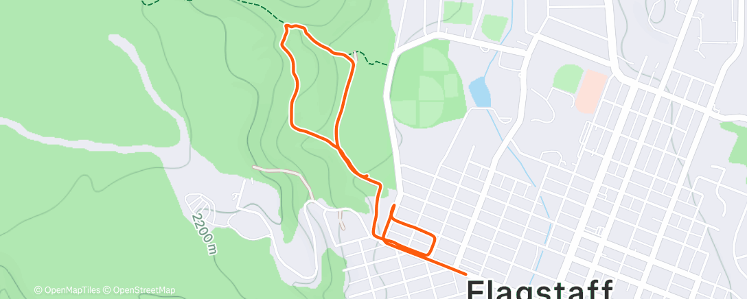 Map of the activity, Walk with Greta :)