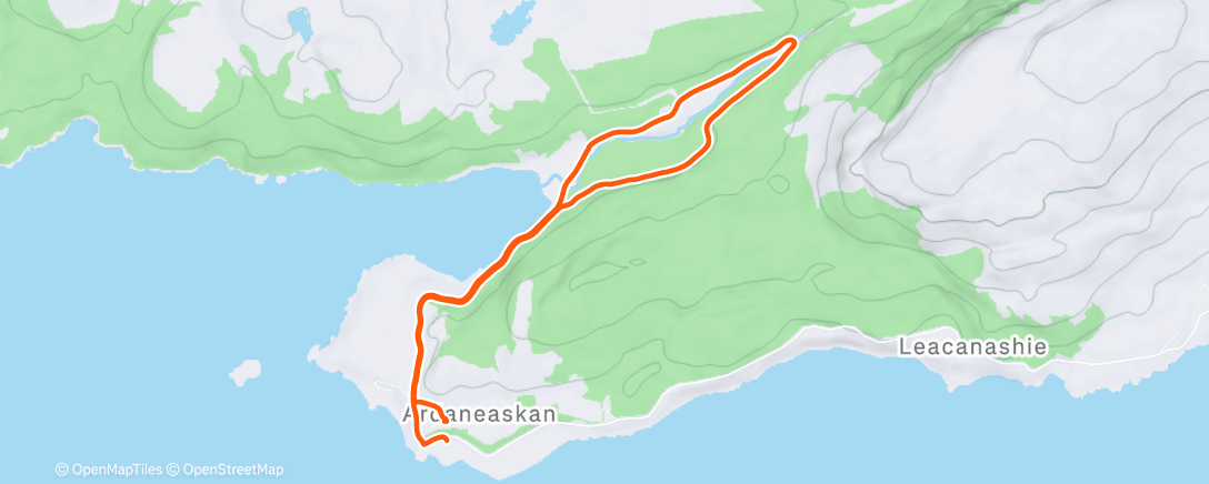 Карта физической активности (Lunch Walk)