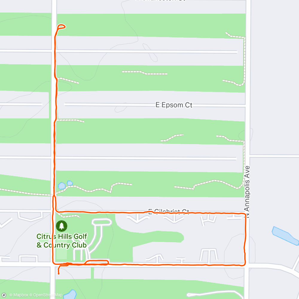 Map of the activity