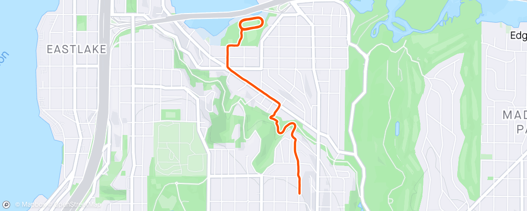 Map of the activity, First track workout since…high school?