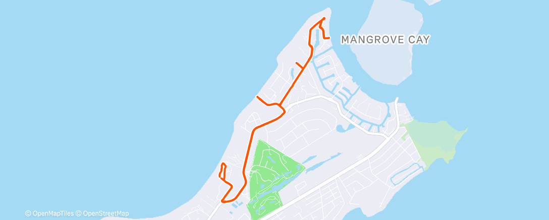 Карта физической активности (Morning Walk)