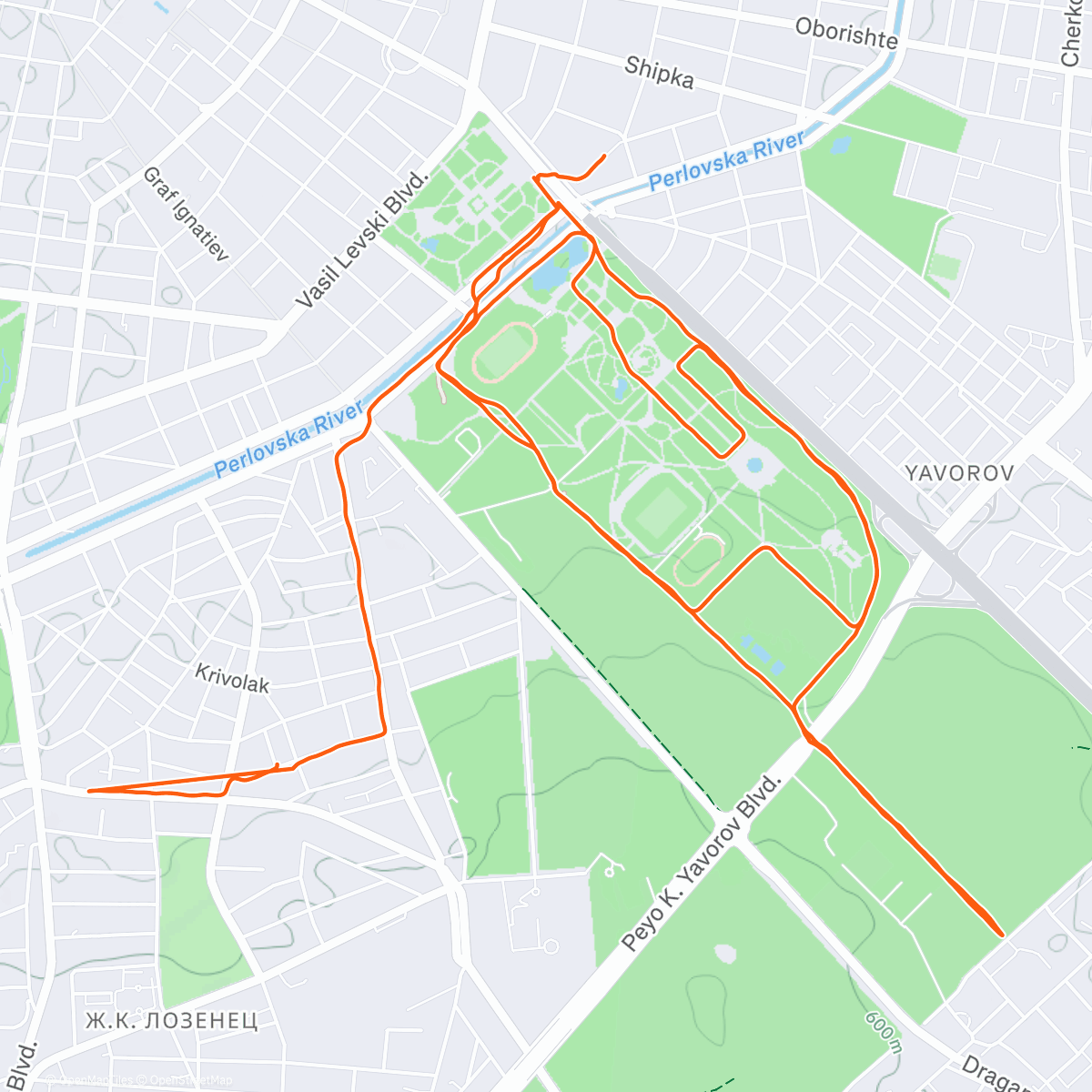 Карта физической активности (SRS Social Run)