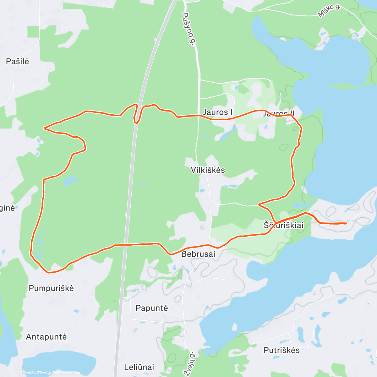 Map of the activity, Silkučių iškratyt