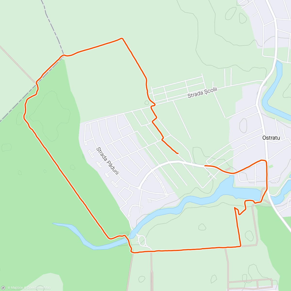 Map of the activity, Forest 🌳