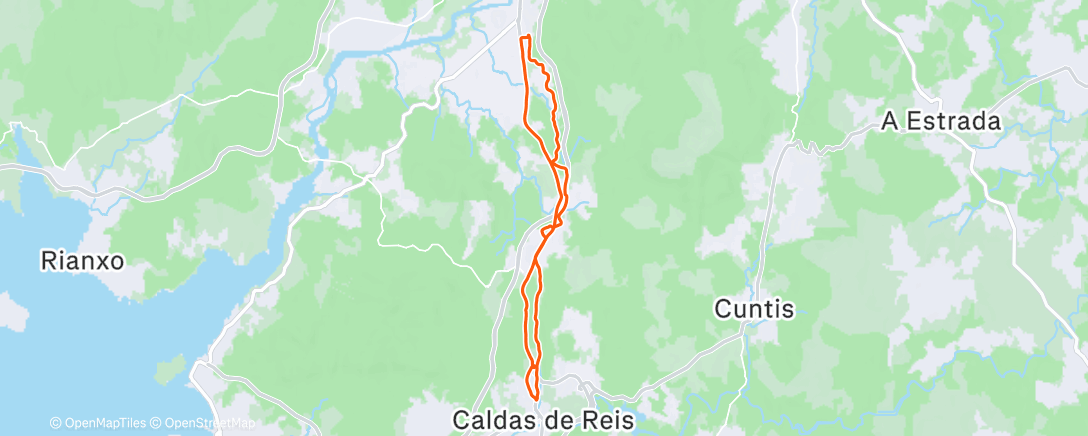 Карта физической активности (Rodada)