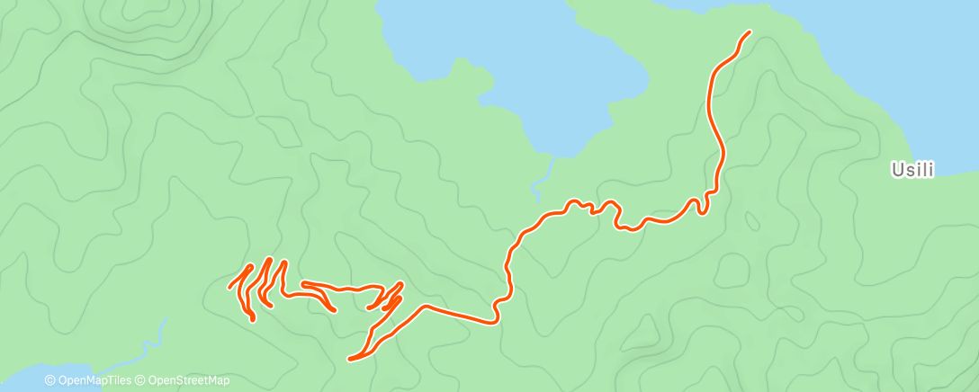 Карта физической активности (On the 4th day of Christmas, I ate a cookie and Santa gave me hills :).  It was worth it.)