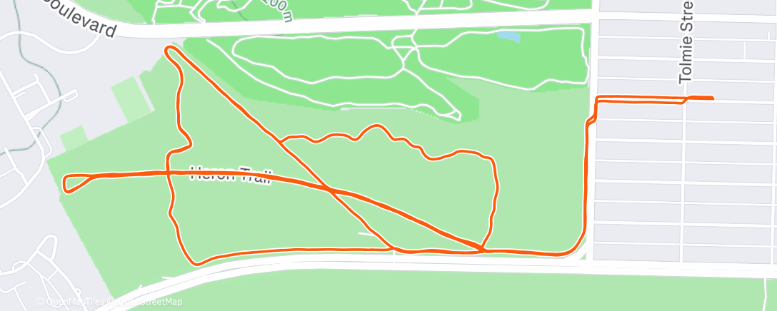 Map of the activity, Morning Run