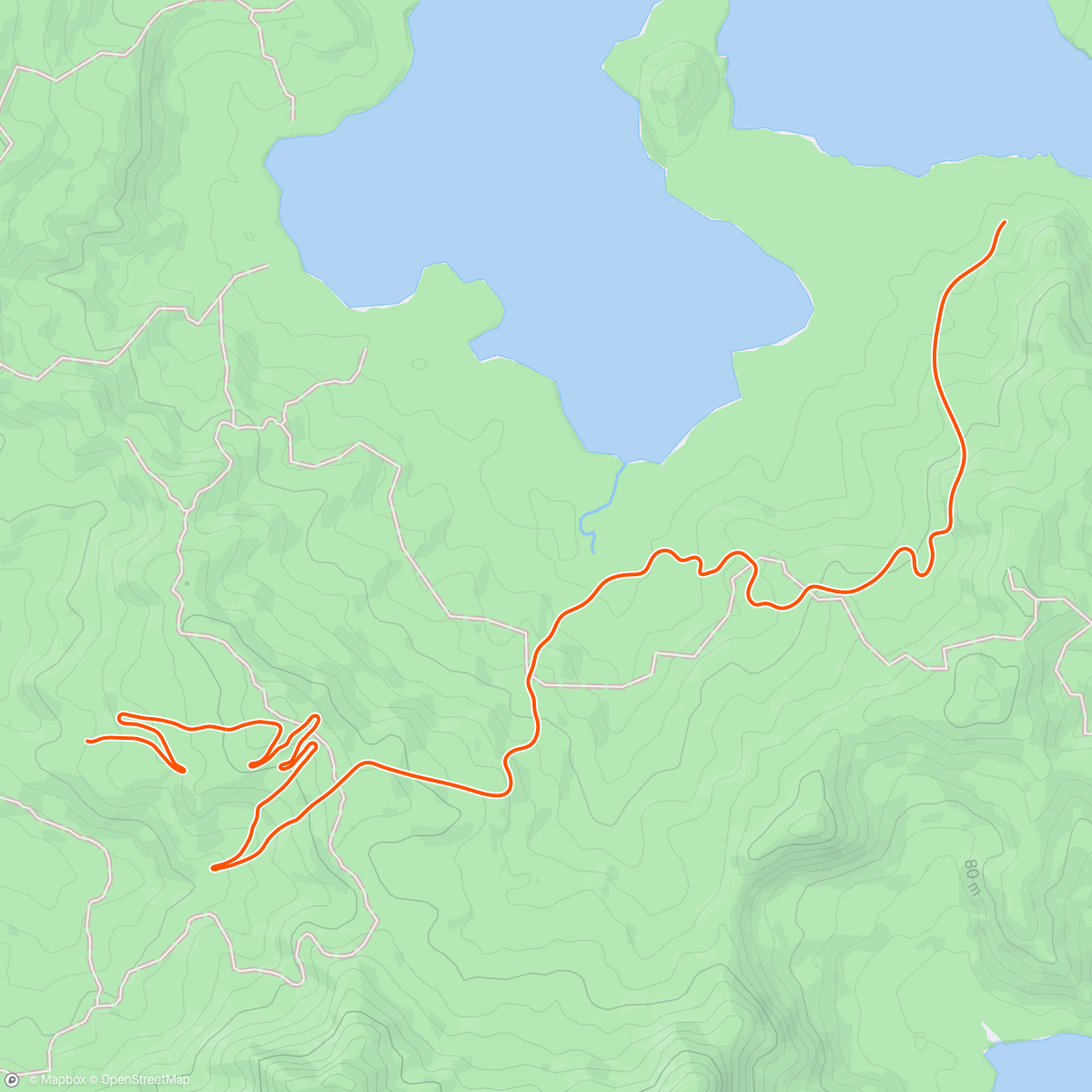 Map of the activity, Zwift - 05. Endurance Ascent in Watopia