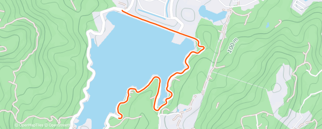 Карта физической активности (Morning Run)