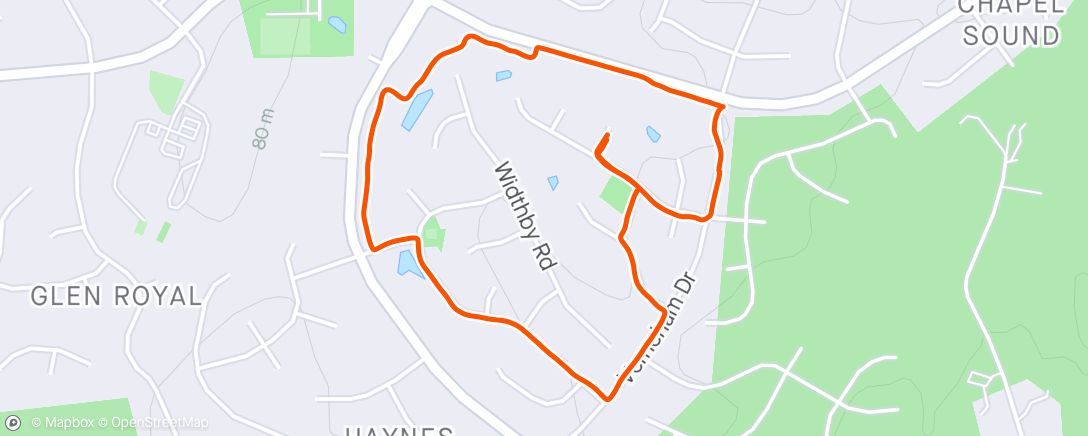 Map of the activity, Morning Walk with Parker the yellow lab