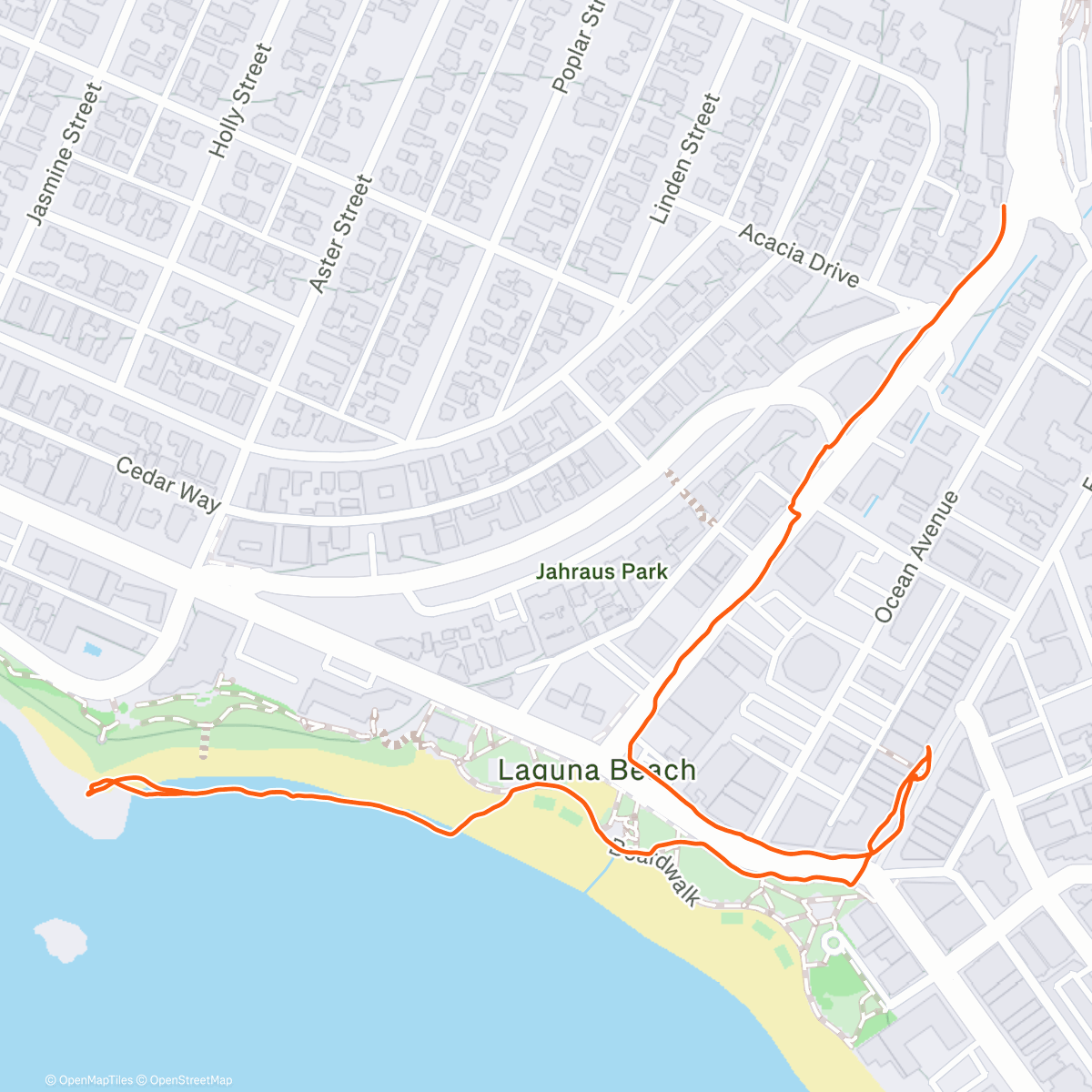 Карта физической активности (Summer in December)