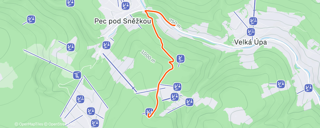 Карта физической активности (Morning Walk)