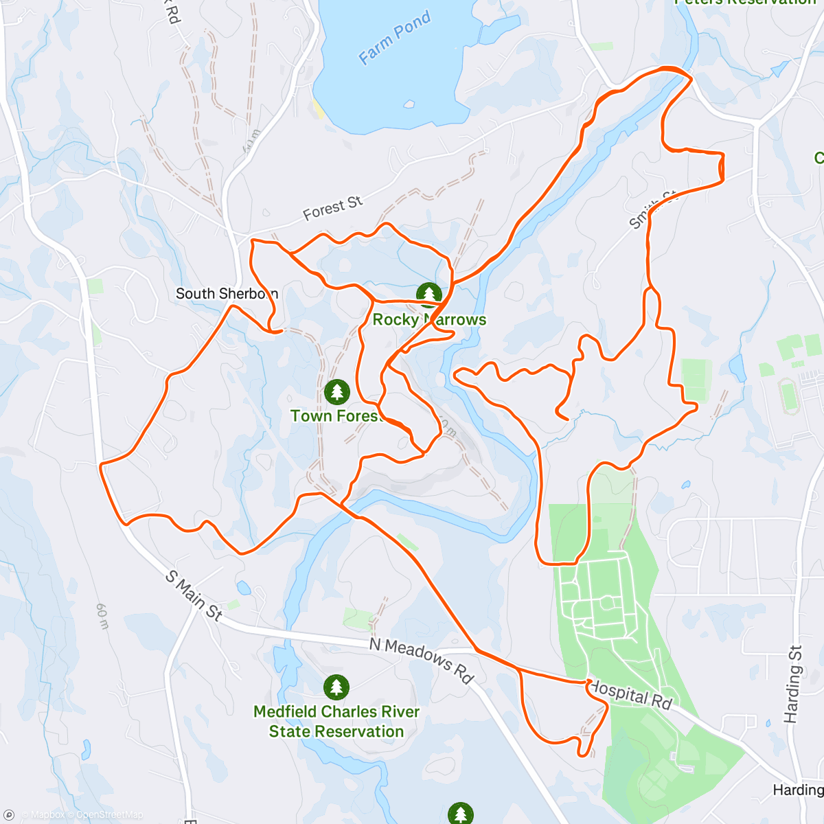 Map of the activity, NEMBA Pride Ride