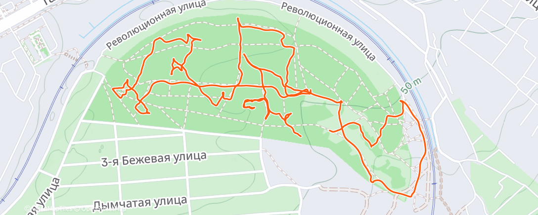 Map of the activity, Morning Trail Run