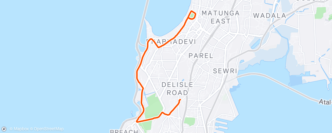 Map of the activity, Morning Run