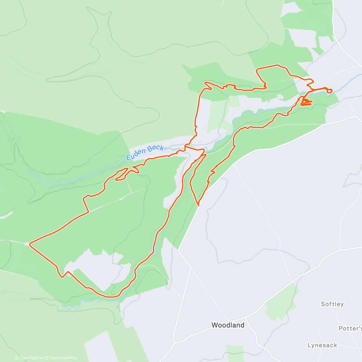 Карта физической активности (Fireroad Festive Frolics 🎅🏻🌲🌲🌲)