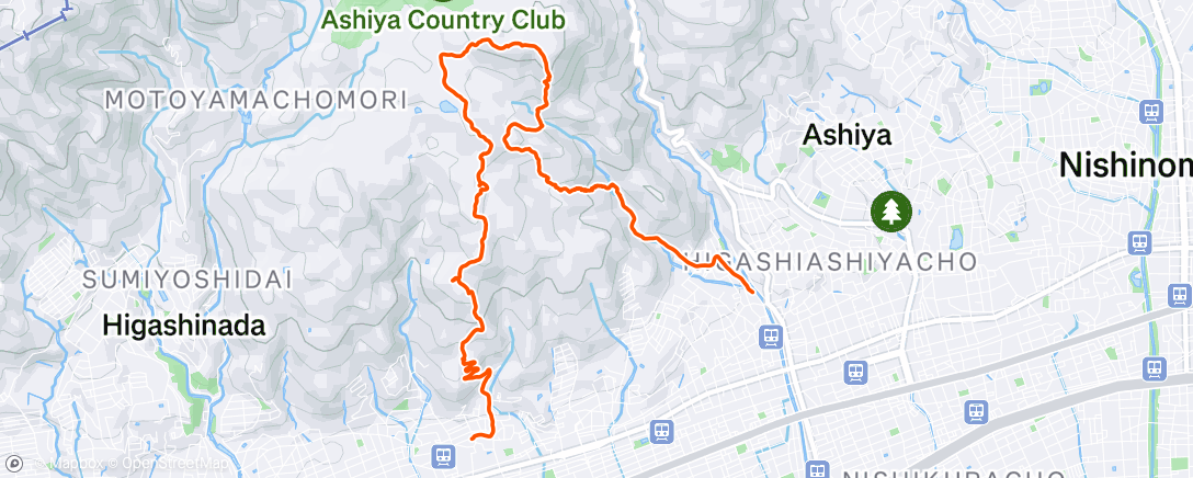 Yasuyuki Yamashita | Strava Cyclist Profile