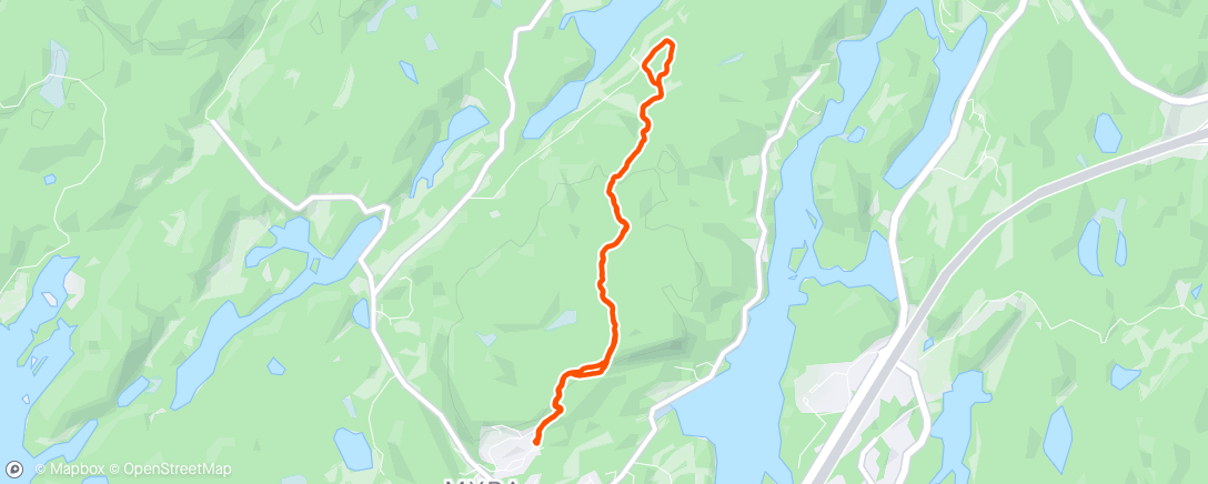 Map of the activity, Fortsatt flekkvis snø og trær i veien