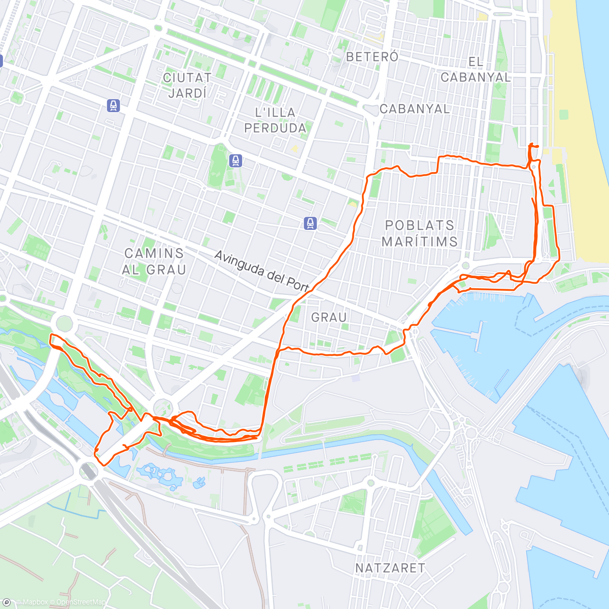 Map of the activity, daily steps