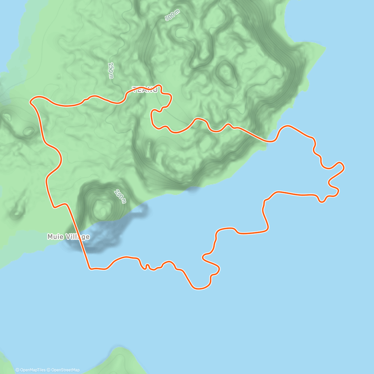 Map of the activity, Zwift - Tick Tock in Watopia