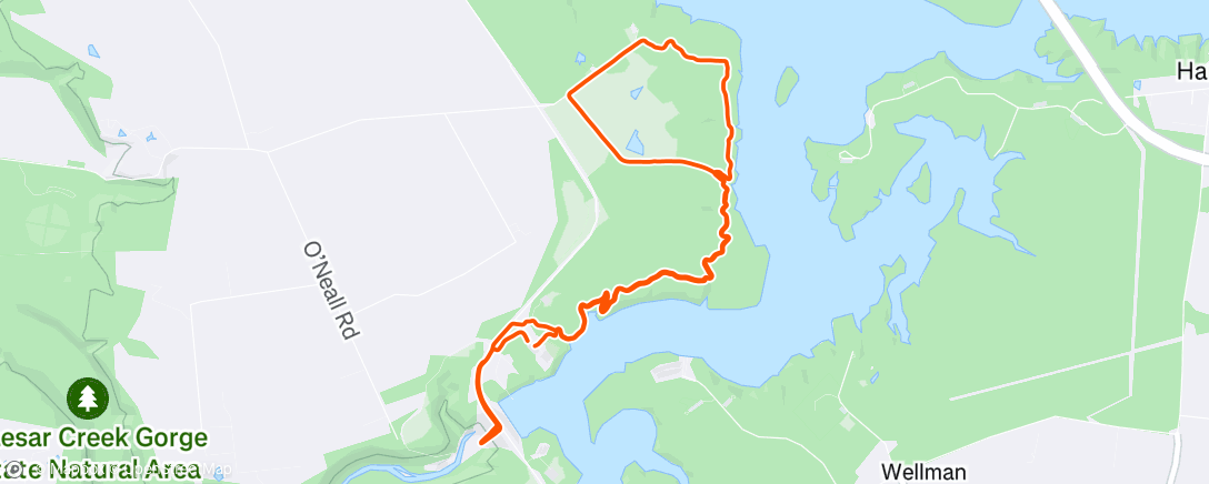 Map of the activity, Morning Trail Run