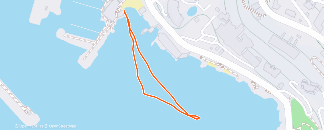 Map of the activity, Morning Swim