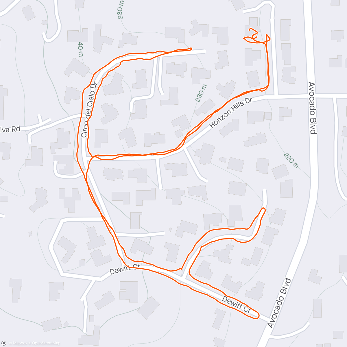 アクティビティ「solo neighborhood vetsed walk」の地図