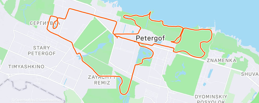 Map of the activity, Morning Run