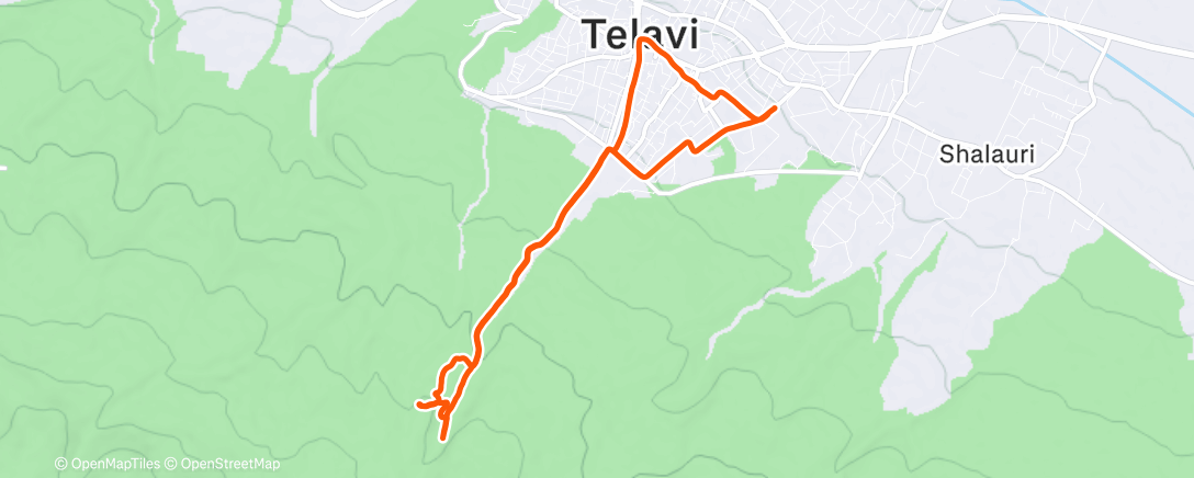 Map of the activity, Morning Trail Run