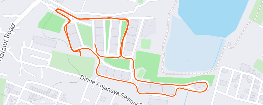 Map of the activity, Evening Run