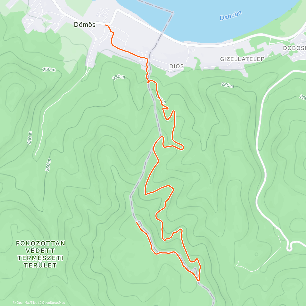 Map of the activity, Morning Walk