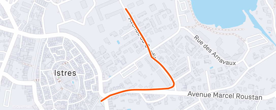 Карта физической активности (Evening Run)