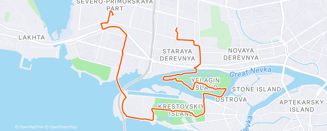 Карта физической активности (Вечерний забег)