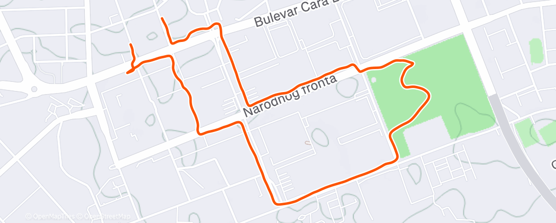 Карта физической активности (Дневной забег)