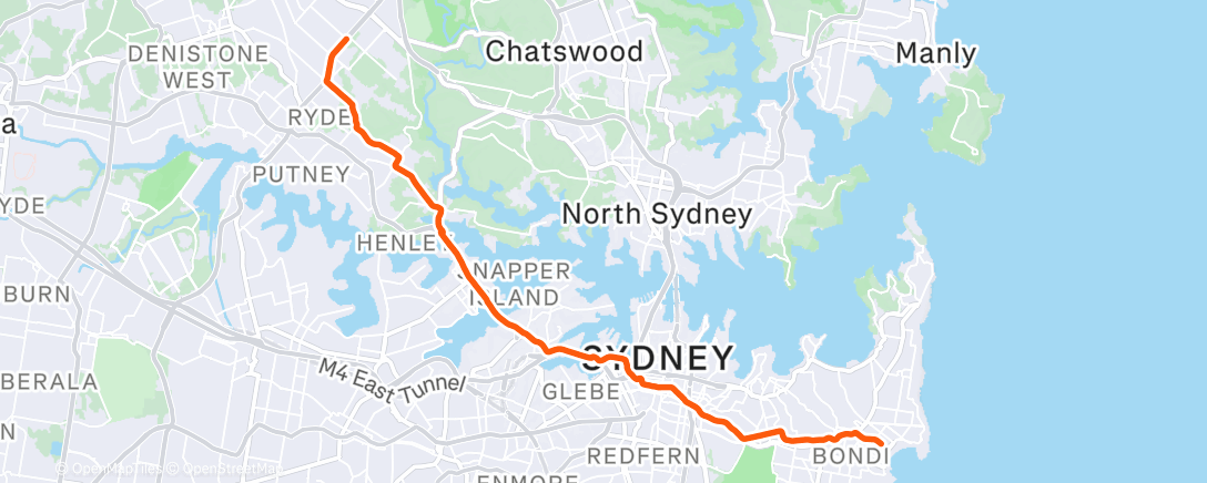 Карта физической активности (Morning Trail Run)