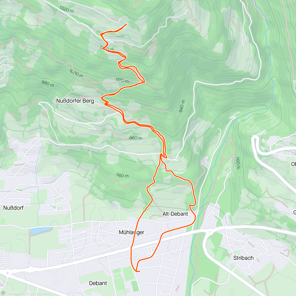 Map of the activity, Morel harvesting