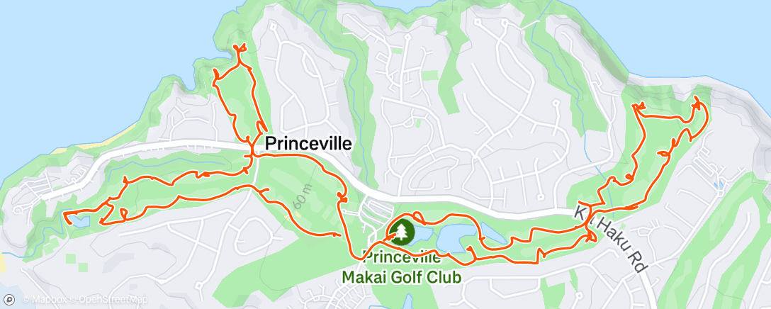 Map of the activity, Morning Golf