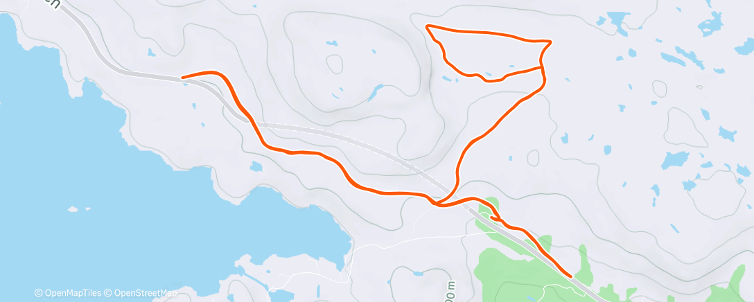 Карта физической активности (Lunch Nordic Ski)