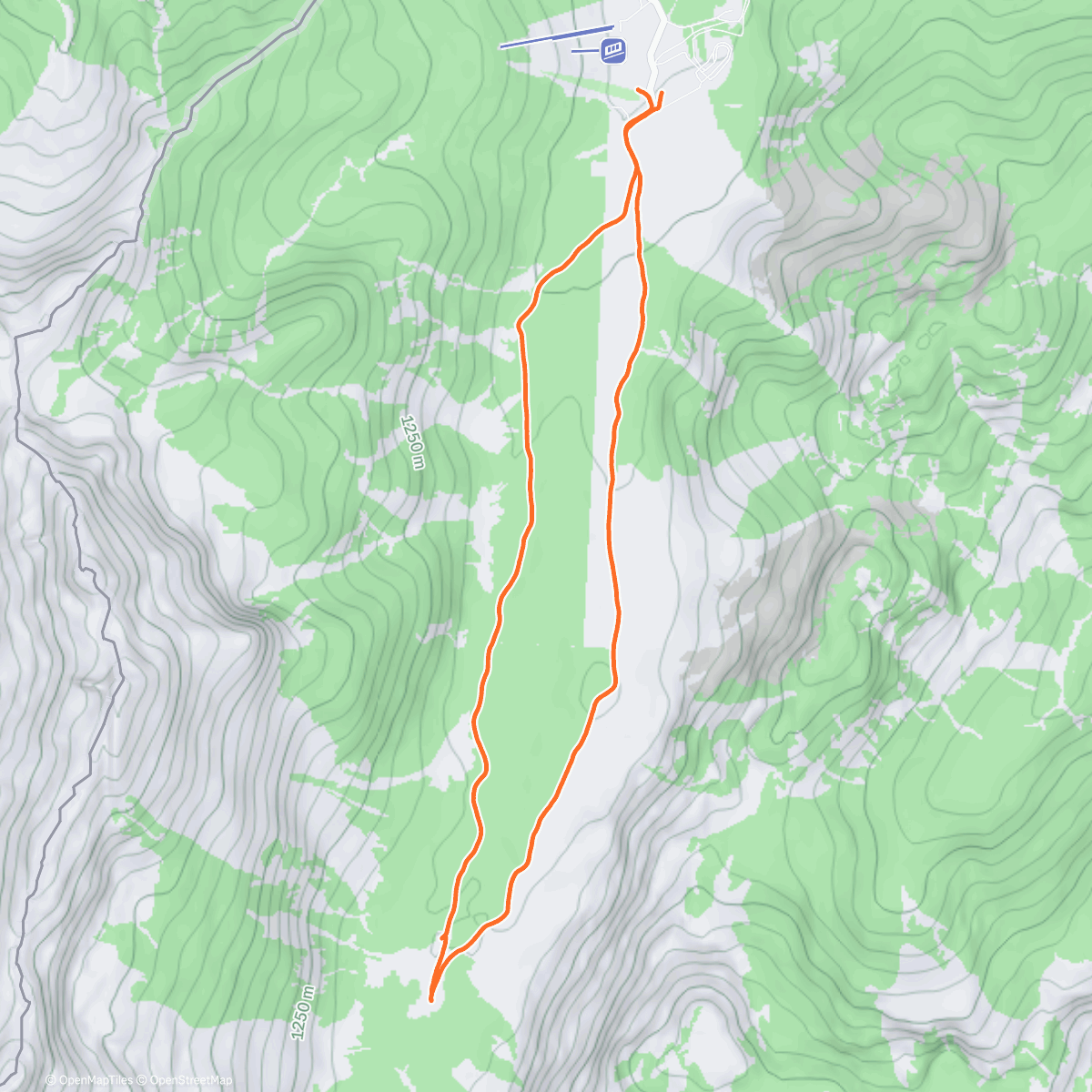 Карта физической активности (📍 Tamar)