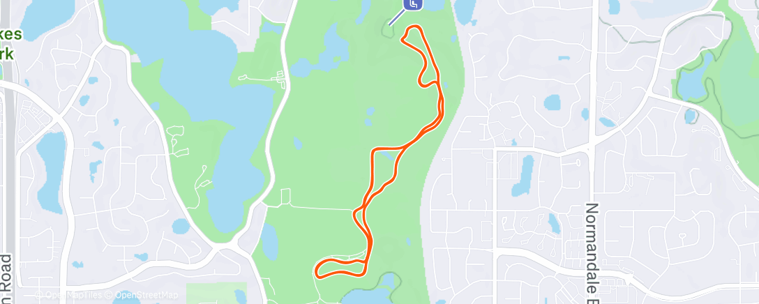 Карта физической активности (Afternoon Nordic Ski)